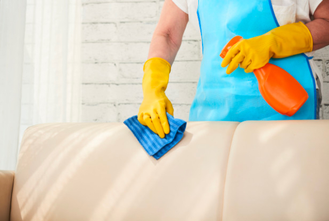 Carpet and Sofa Cleaning Services